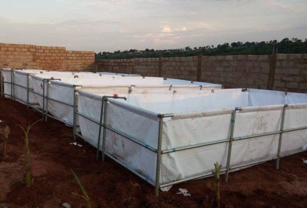 Mobile fish pond constructed using reinforced tarpaulin from Benuwatts