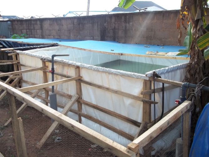 Fish pond construction and installation using iron, steel, galvanized pipe as framework.