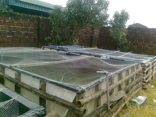 Fish pond installation and construction using bamboo as framework