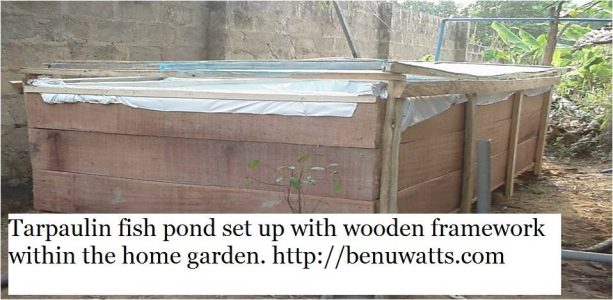 benuwatts tarpaulin fish pond set up using wooden framework